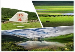 廣州到阿壩物流專線，專業(yè)運(yùn)輸廣州至阿壩貨運(yùn)公司